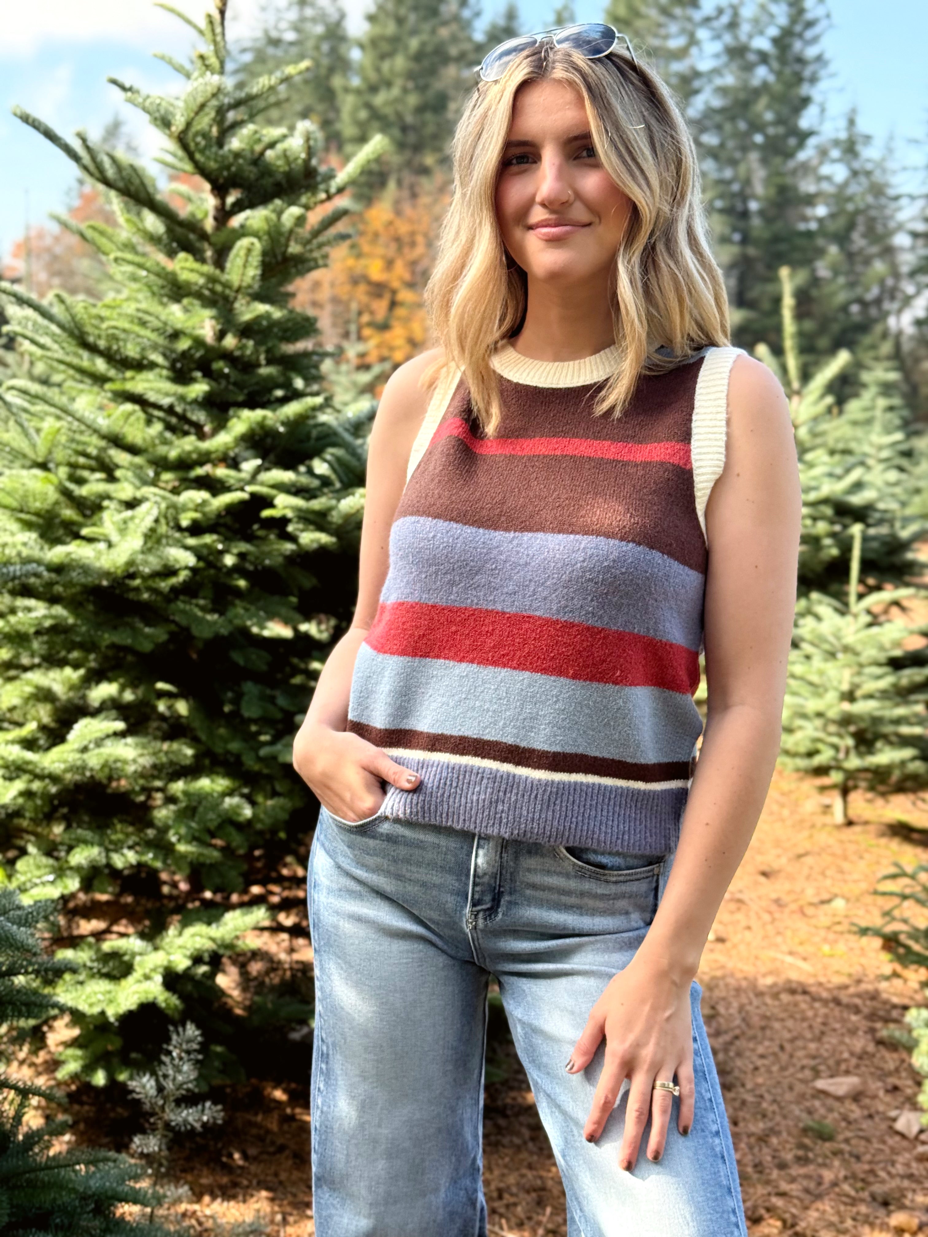 Sequoia Sweater Vest - BLUE - Storetradenest VEST